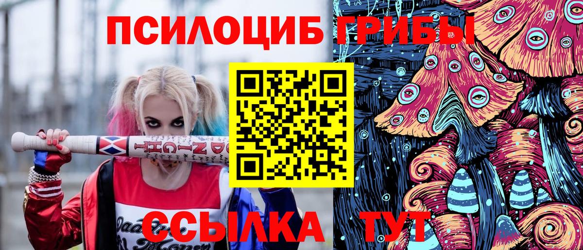 Псилоцибиновые грибы Psilocybine cubensis  Псилоцибиновые грибы прущие грибы  Вход с VPN  закладка  Новокуйбышевск 