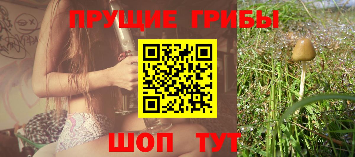 Галлюциногенные грибы GOLDEN TEACHER Новокуйбышевск